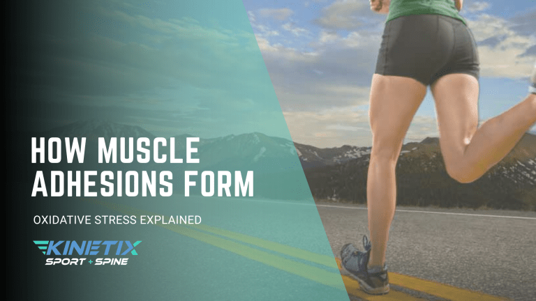 How Muscle Adhesions Actually Form — Oxidative Stress, Free Radicals, and the Collagen Cross-Linking Cascade